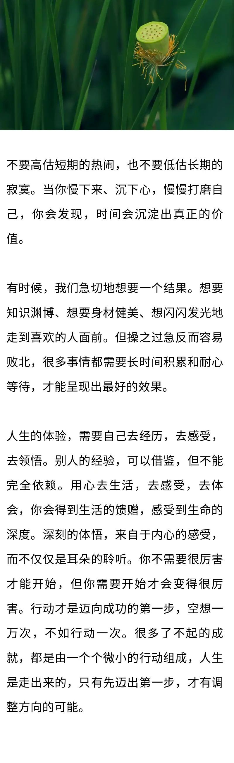 學(xué)會沉淀自己，才能活成想要的樣子(圖2)