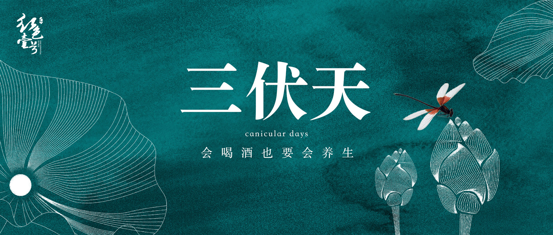 入伏了，要適當(dāng)喝點酒(圖2)