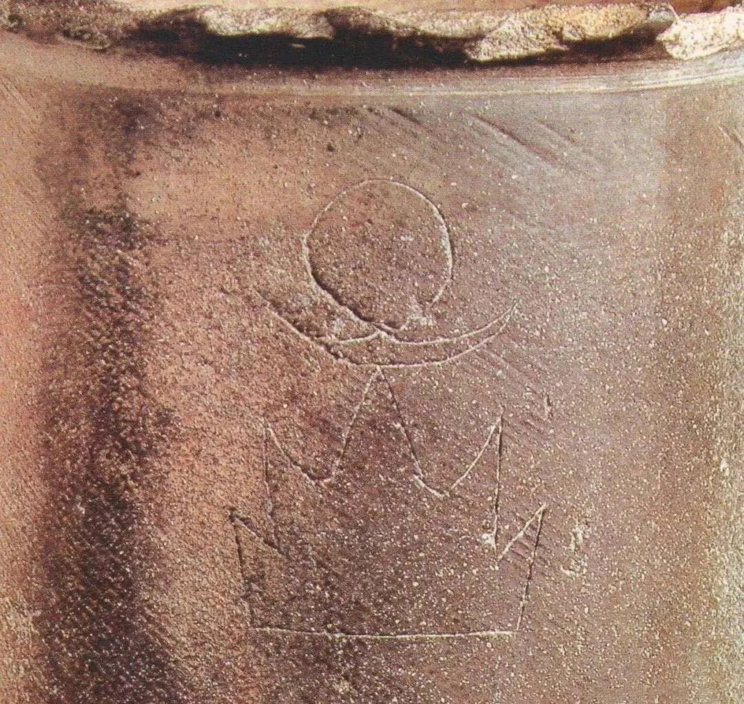 入伏了，要適當(dāng)喝點酒(圖4)