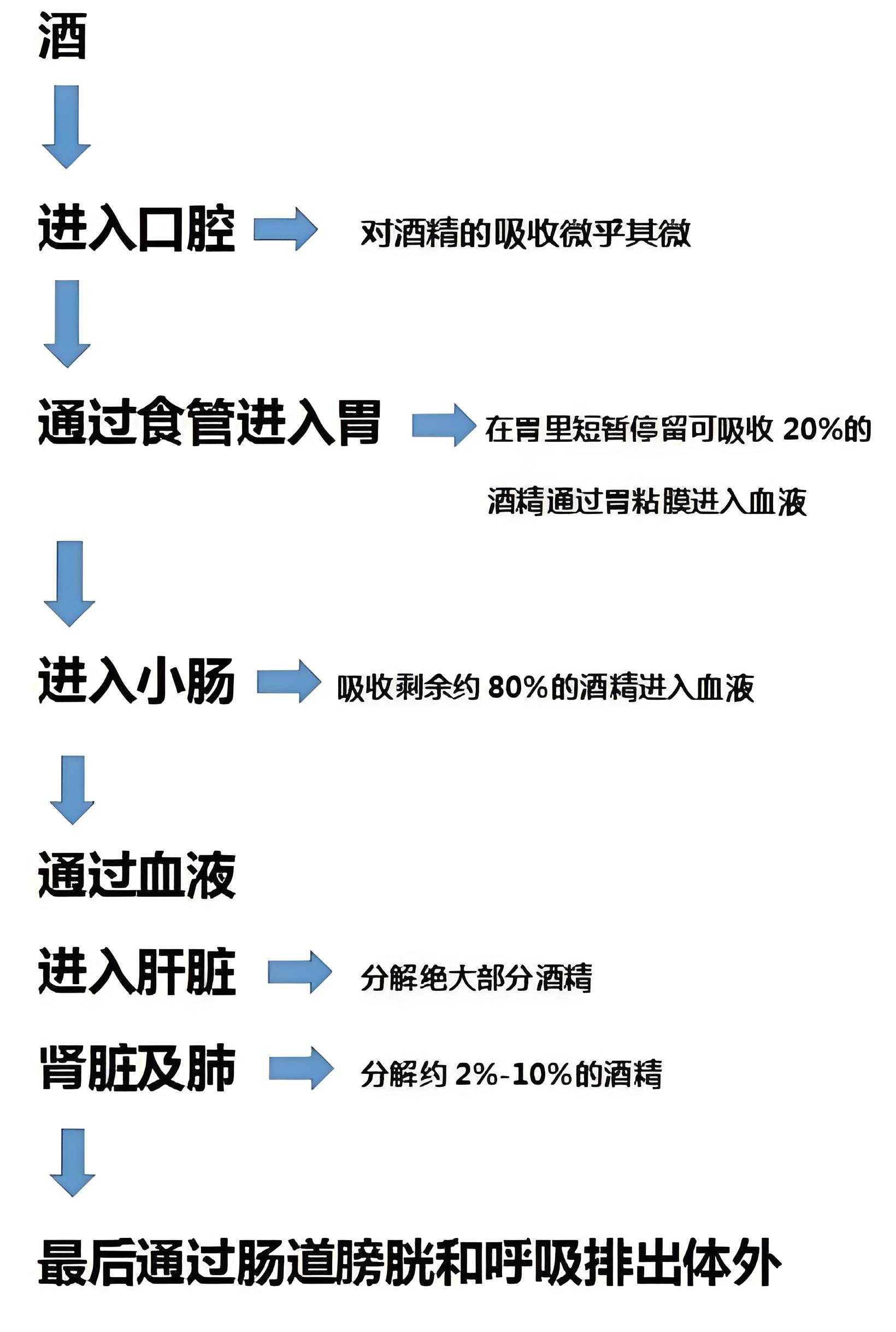 喝酒到底對(duì)健身有什么影響？(圖1)