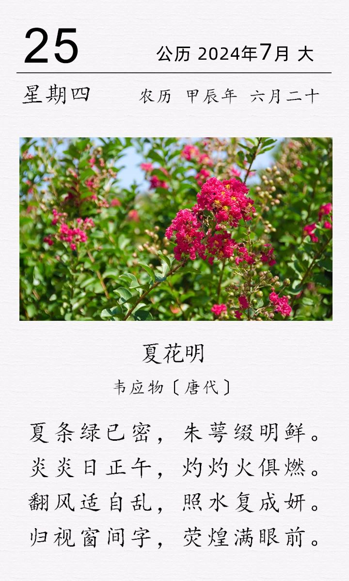 韋應(yīng)物《夏花明》(圖1) 韋應(yīng)物《夏花明》(圖1)
