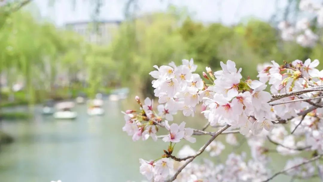 “花間不敬酒，樹下莫發(fā)聲”，成功之人都懂得的智慧(圖1)