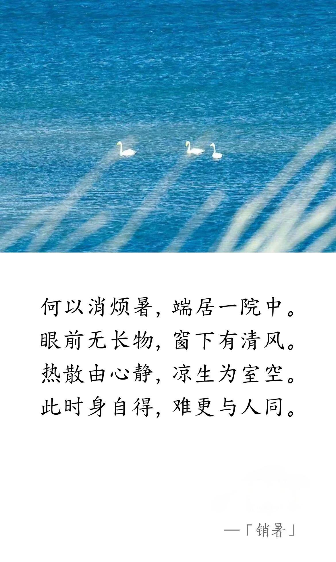 唐 · 白居易《消暑》(圖1)