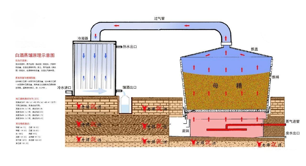 【釀酒技術(shù)】說說白酒蒸餾的作用(圖2)