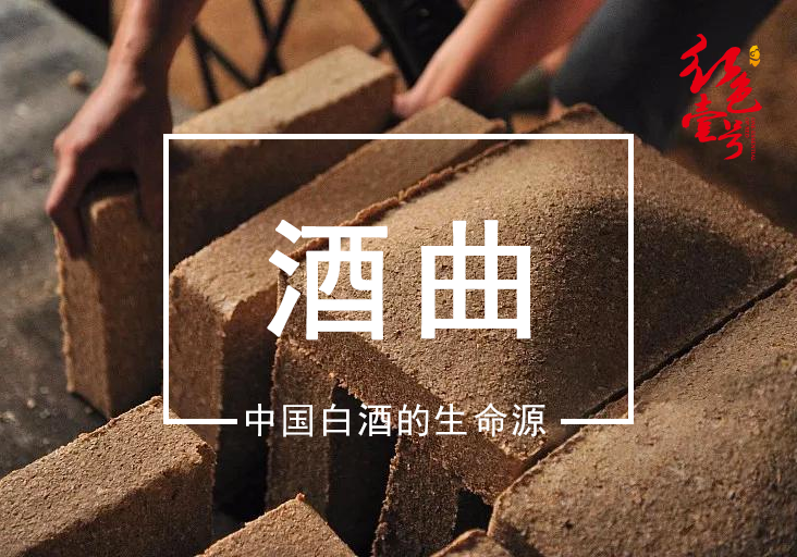酒曲中國白酒的生命源10-7.png 為啥越來越多的人愛上醬酒(圖1)