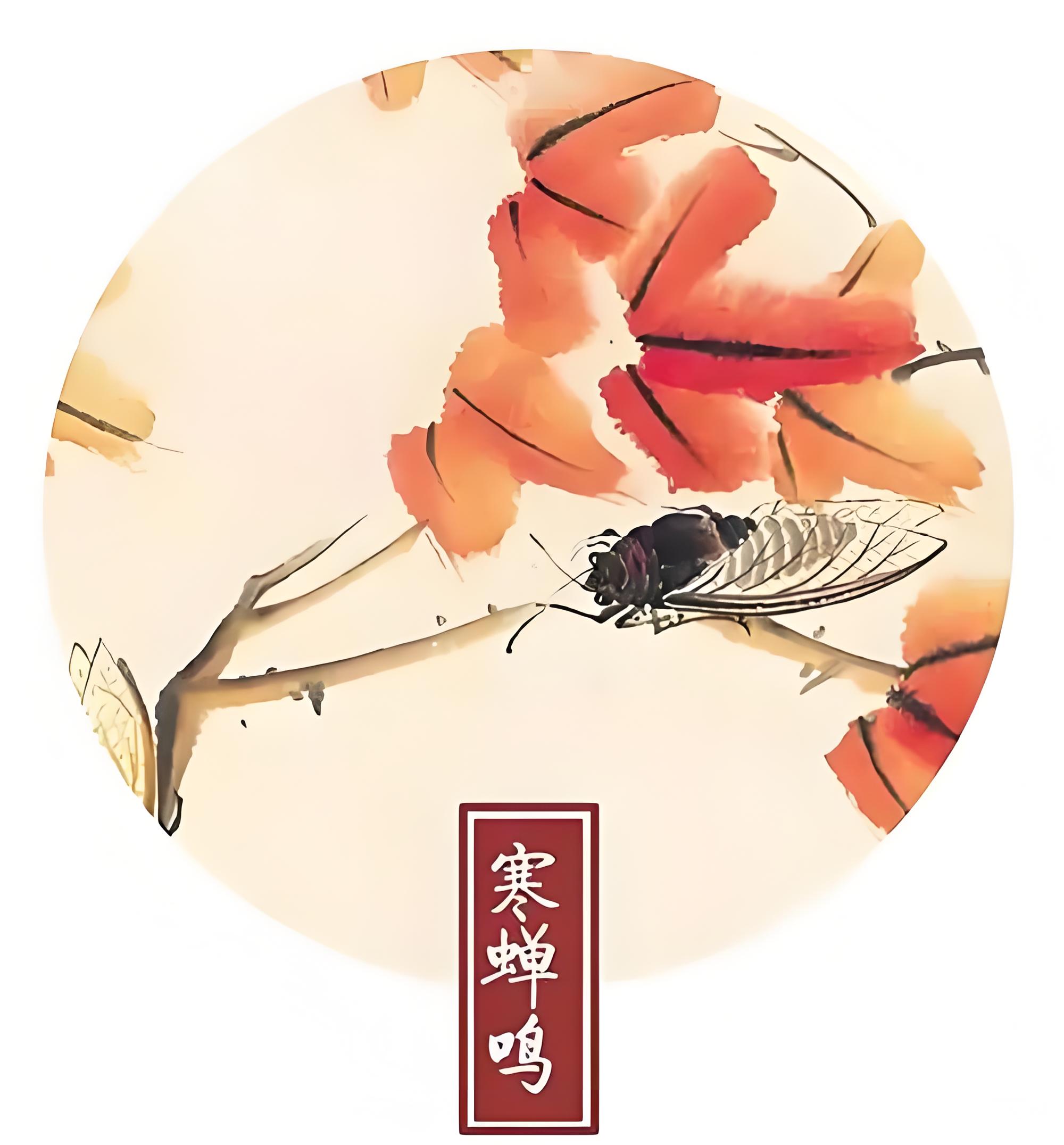 三候寒蟬鳴.jpg 今日立秋 | 立秋至 涼風(fēng)起(圖7)