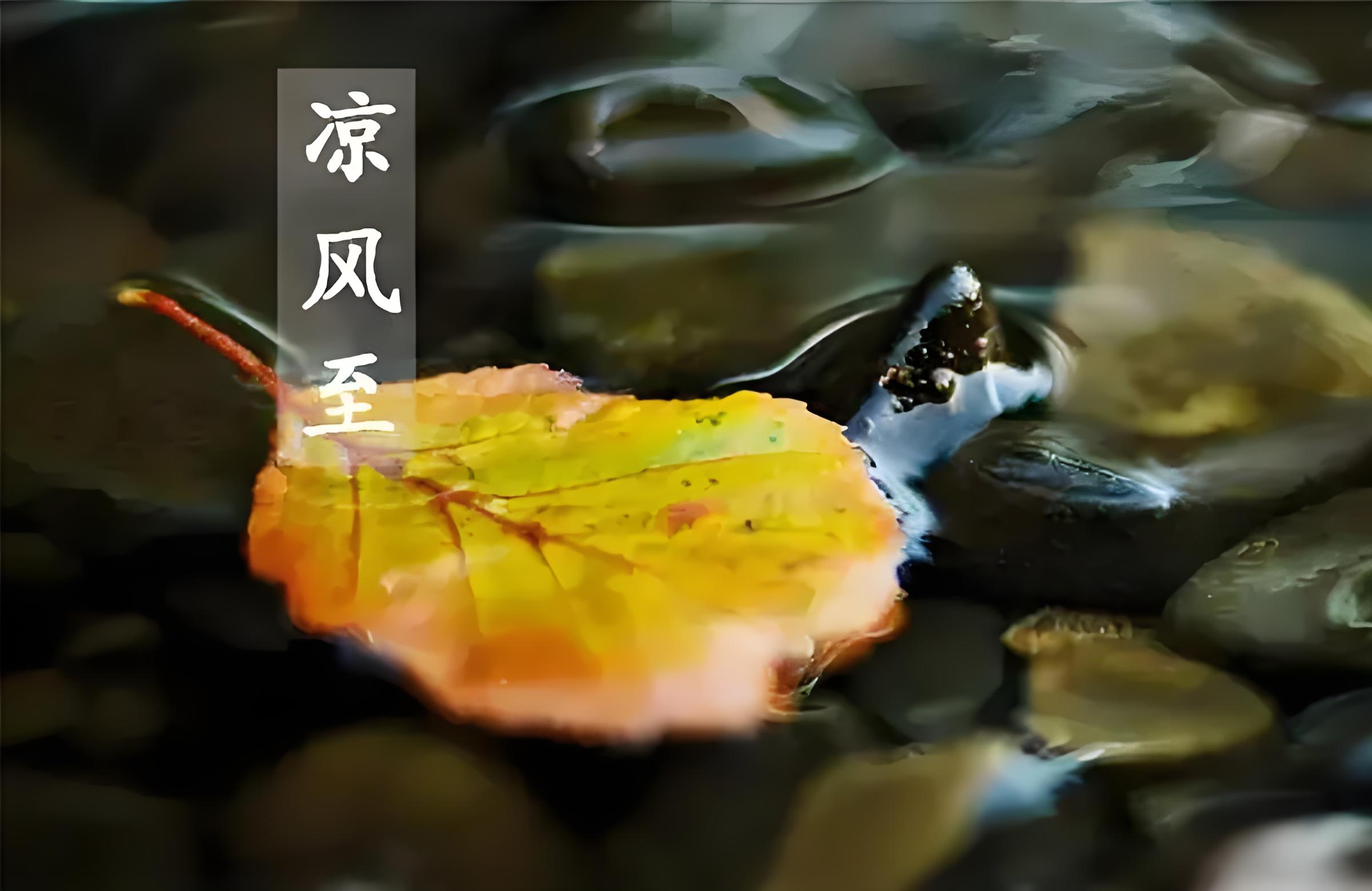 一候涼風(fēng)至.jpg 今日立秋 | 立秋至 涼風(fēng)起(圖5)