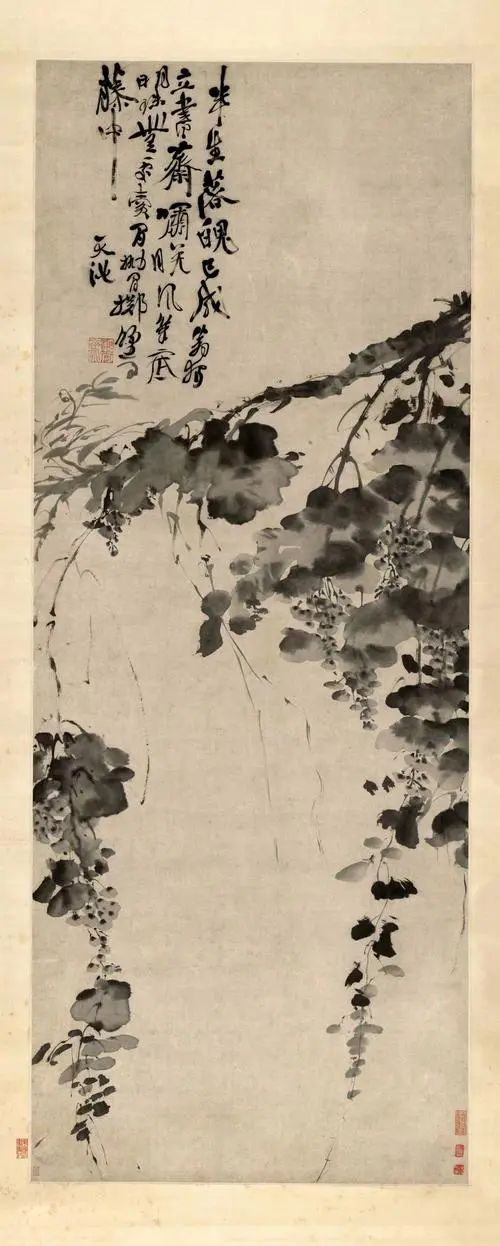 明代 · 徐渭《題葡萄圖》(圖2) 明代 · 徐渭《題葡萄圖》(圖2)