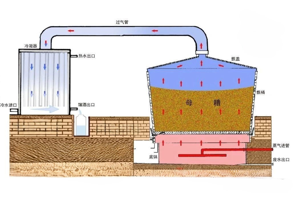 【白酒釀造】蒸餾過程中如何掐頭去尾(圖4)