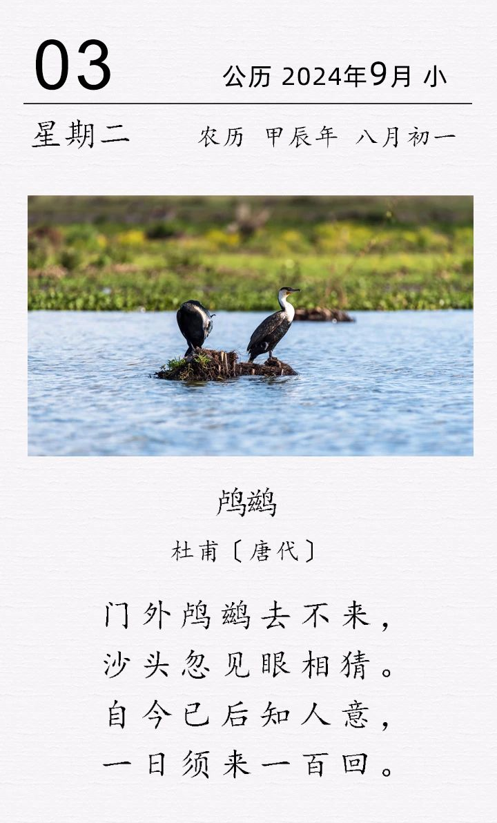  杜甫《?三絕句 · 其二 · 鸕鶿》(圖1)