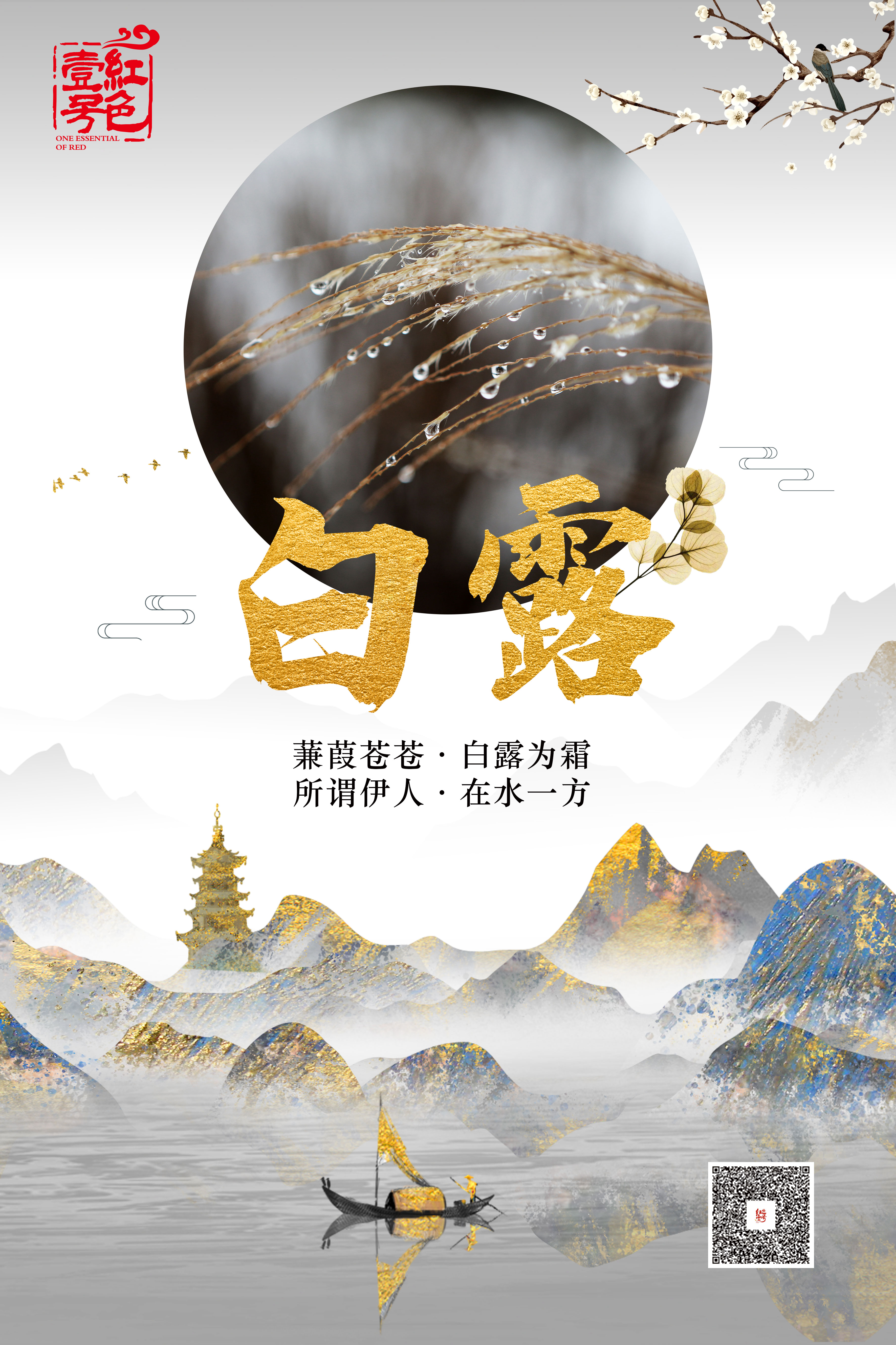 今日白露(圖2)