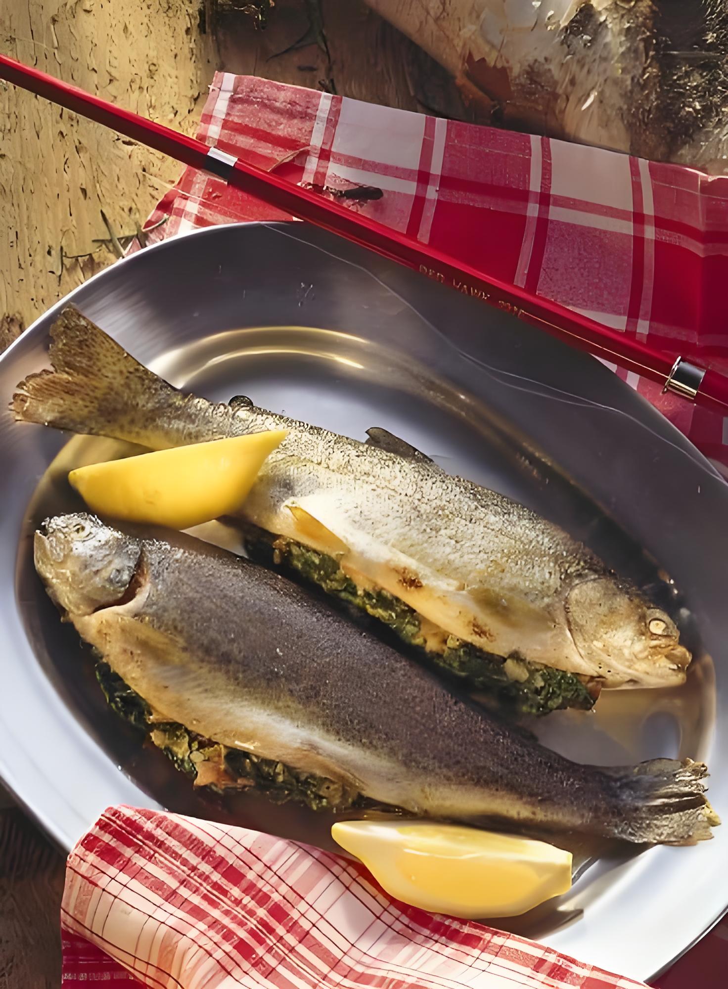 鮭魚.jpg 世界公認的十大長壽食物(圖5)