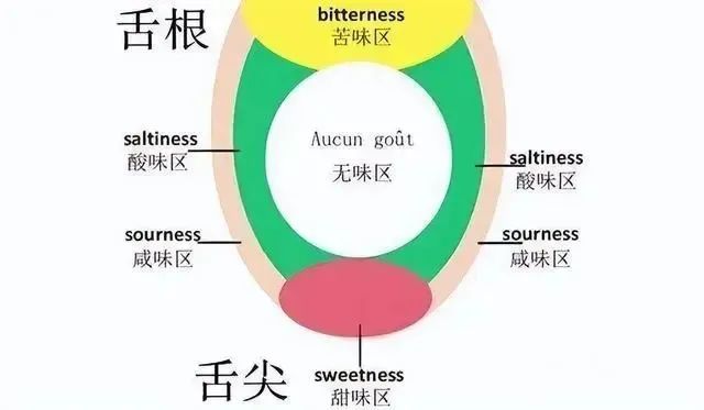 白酒五味“酸、甜、苦、辣、澀”(圖2)