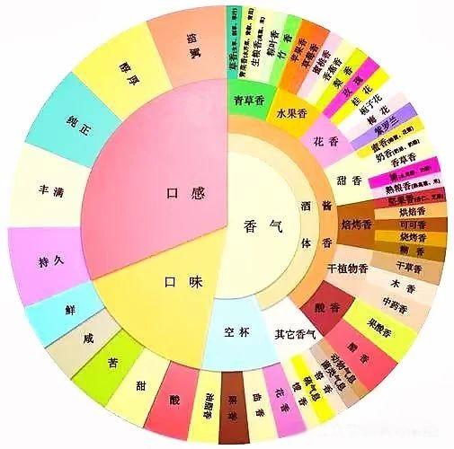 醬香是種什么香？(圖1)