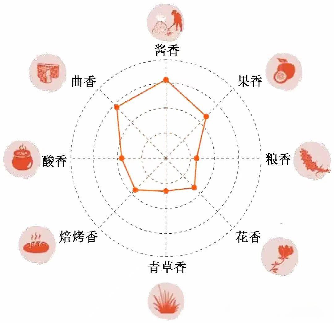醬香是種什么香？(圖3)