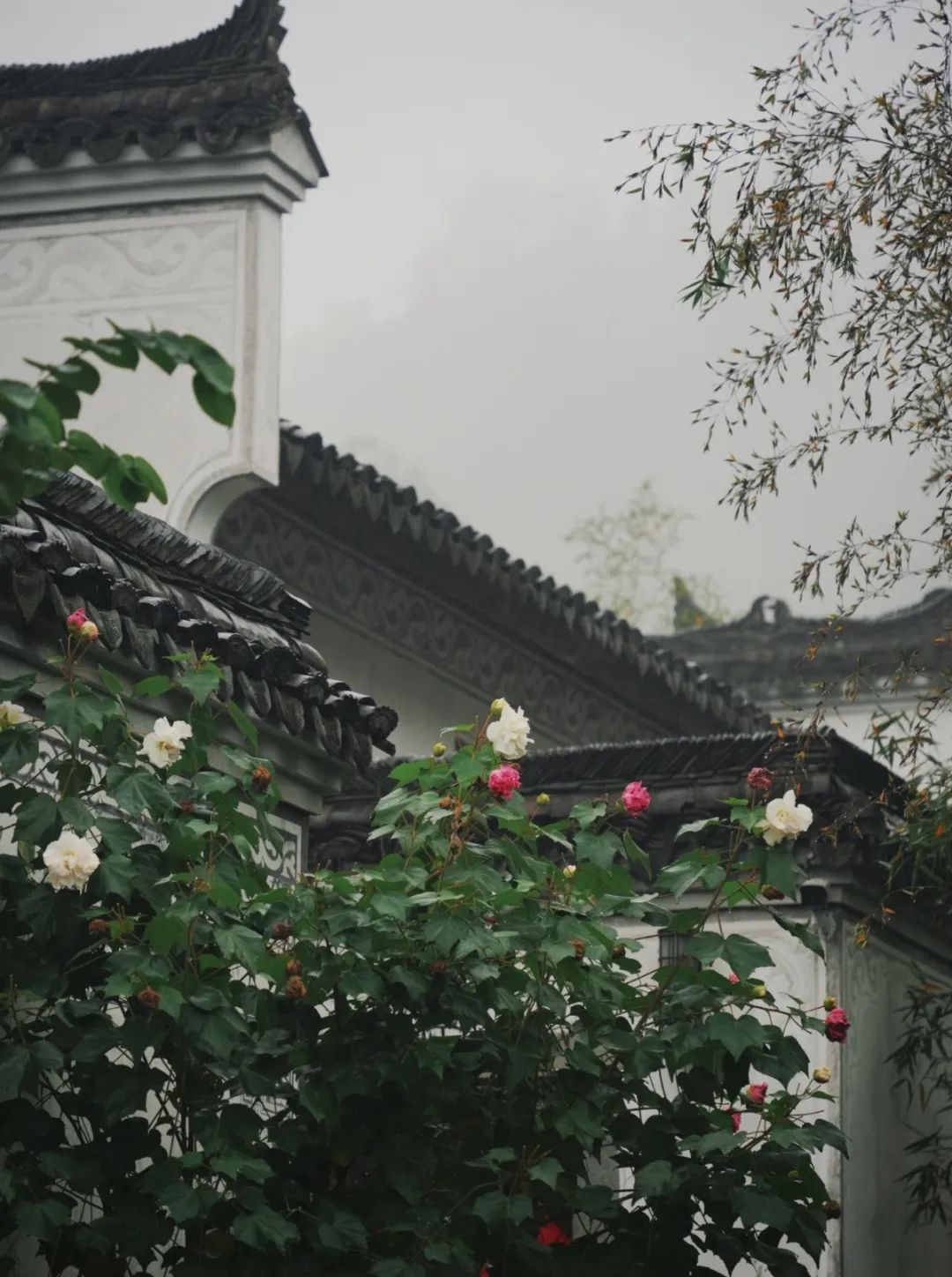 人為什么要度假？(圖8)