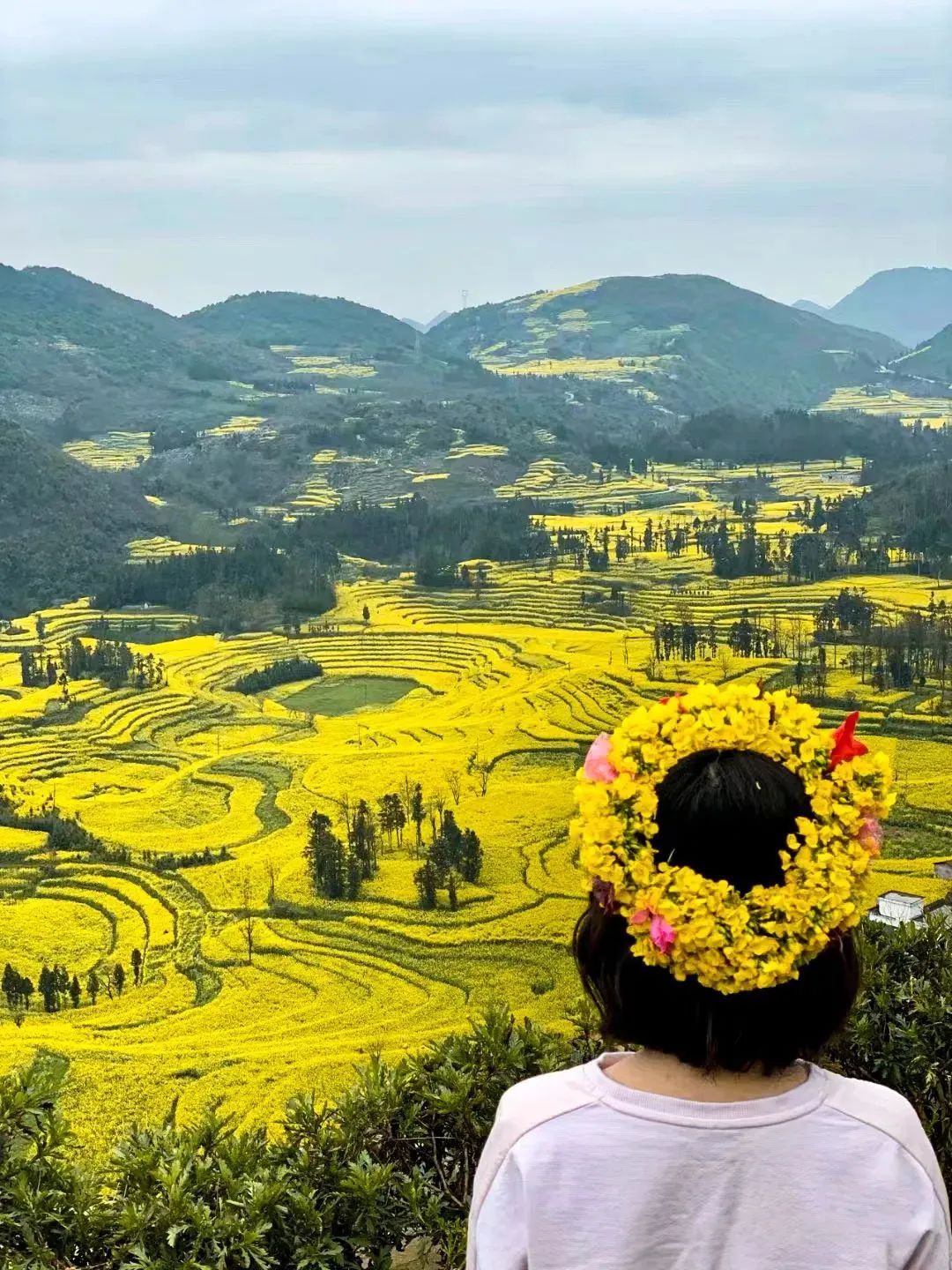 承包“中國第一抹春色”，花海無敵好看，山水野過桂林！這座十八線小城真的值得！(圖6)