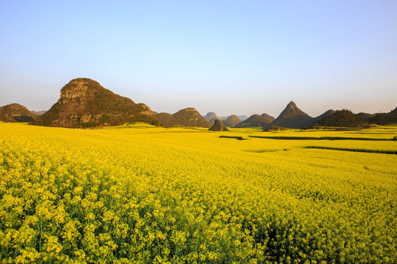 承包“中國第一抹春色”，花海無敵好看，山水野過桂林！這座十八線小城真的值得！(圖10)