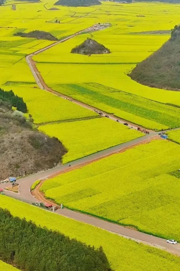 承包“中國第一抹春色”，花海無敵好看，山水野過桂林！這座十八線小城真的值得！(圖11)