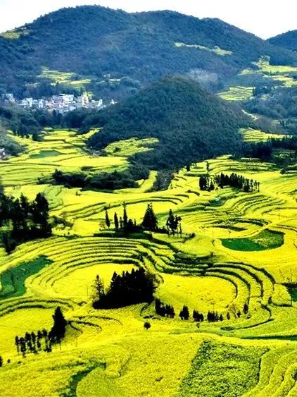 承包“中國第一抹春色”，花海無敵好看，山水野過桂林！這座十八線小城真的值得！(圖15)