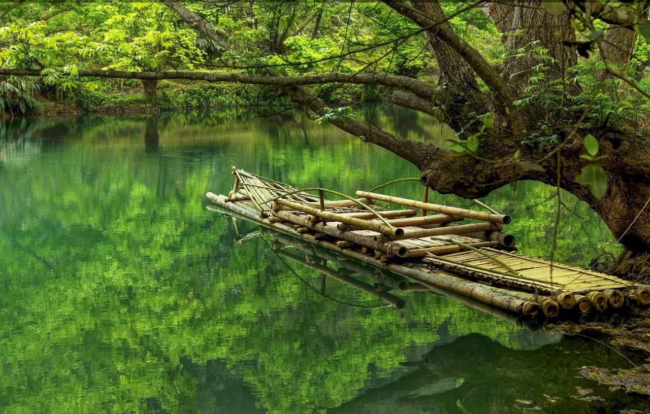 承包“中國第一抹春色”，花海無敵好看，山水野過桂林！這座十八線小城真的值得！(圖23)