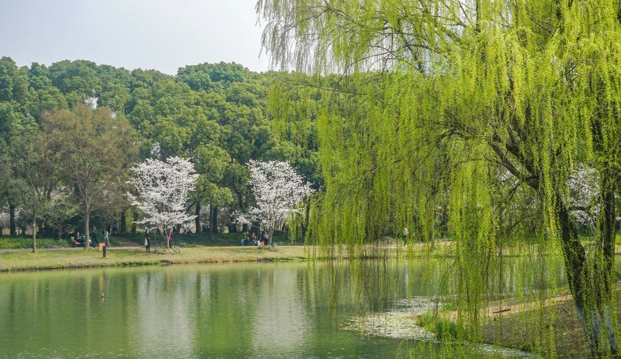 我不是錯(cuò)過(guò)了你，而是錯(cuò)過(guò)了一生(圖4)