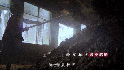 飛天上漲！茅臺酒3月5日行情價(圖6)