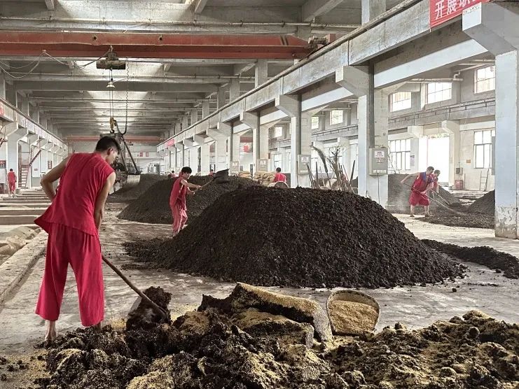 到底是什么在決定白酒的味道？(圖10)