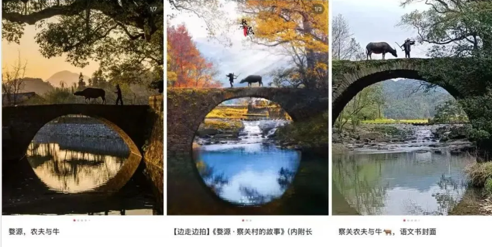他們?nèi)克烙诼糜螘r(shí)拍攝的“人生照片”(圖7)