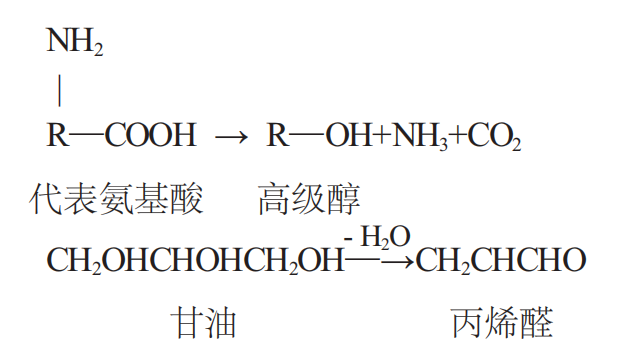 image.png 認(rèn)識(shí)苦味:白酒風(fēng)味的雙刃劍(圖2)