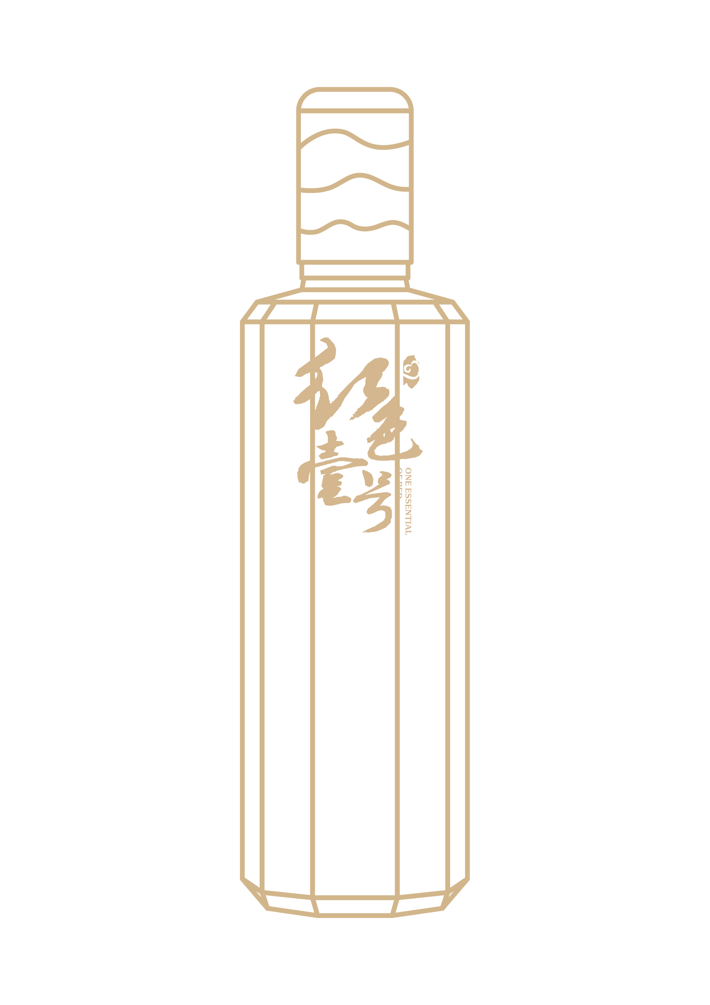 春宴正當(dāng)時(shí)，一杯醬香敬相逢：紅色壹號(hào)，讓歡聚時(shí)刻值得回味(圖6)