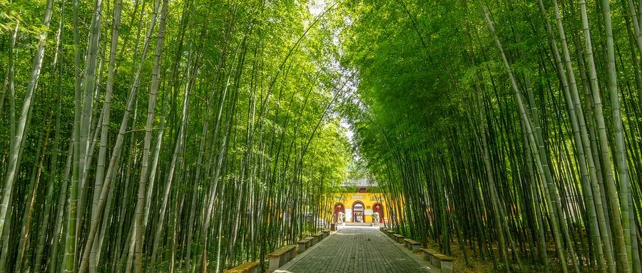 拿得起，放得下，人間最美是釋懷(圖7)