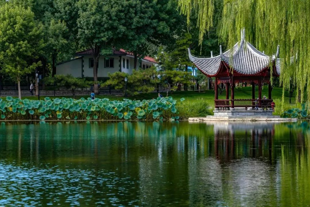 8首夏夜詩詞：我在等風(fēng)，也等你(圖1)