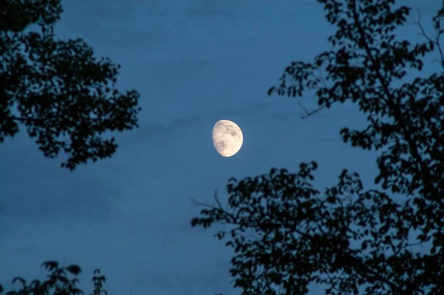 8首夏夜詩詞：我在等風(fēng)，也等你(圖3)