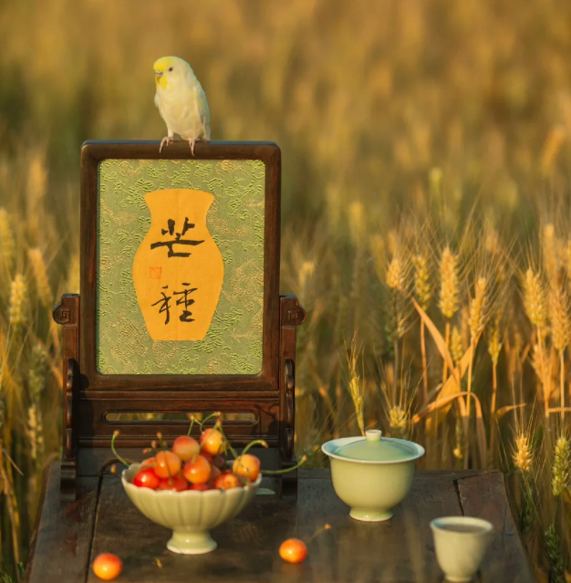 唐 · 元稹《詠廿四氣詩(shī) · 芒種五月節(jié) 》(圖1)