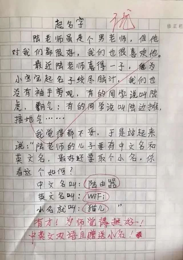 小學(xué)生作文《熱死了》走紅，老師看后直接給滿分：我拜你為師吧！(圖4)