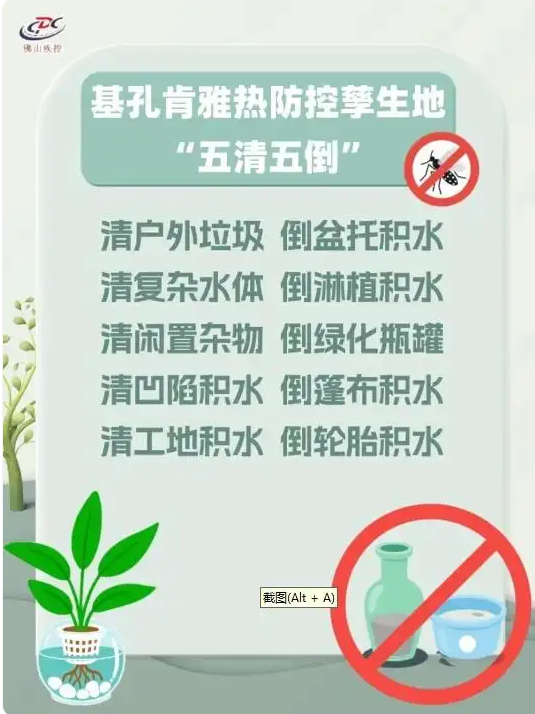 科學(xué)與健康｜清積水，滅蚊蟲(chóng)！基孔肯雅熱這樣防(圖1)