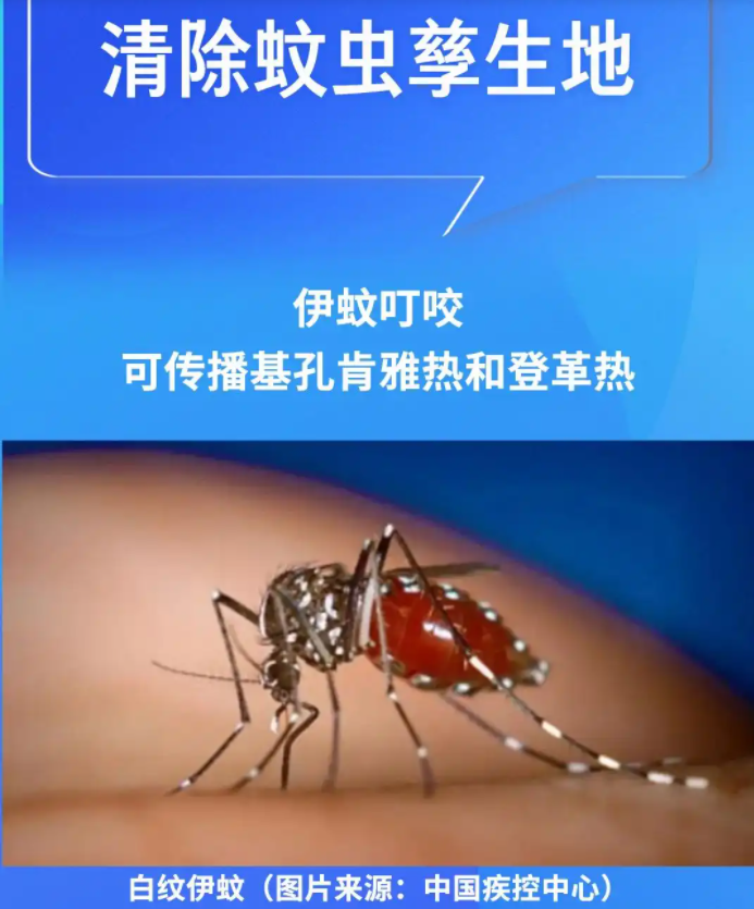 科學(xué)與健康｜清積水，滅蚊蟲(chóng)！基孔肯雅熱這樣防(圖2)
