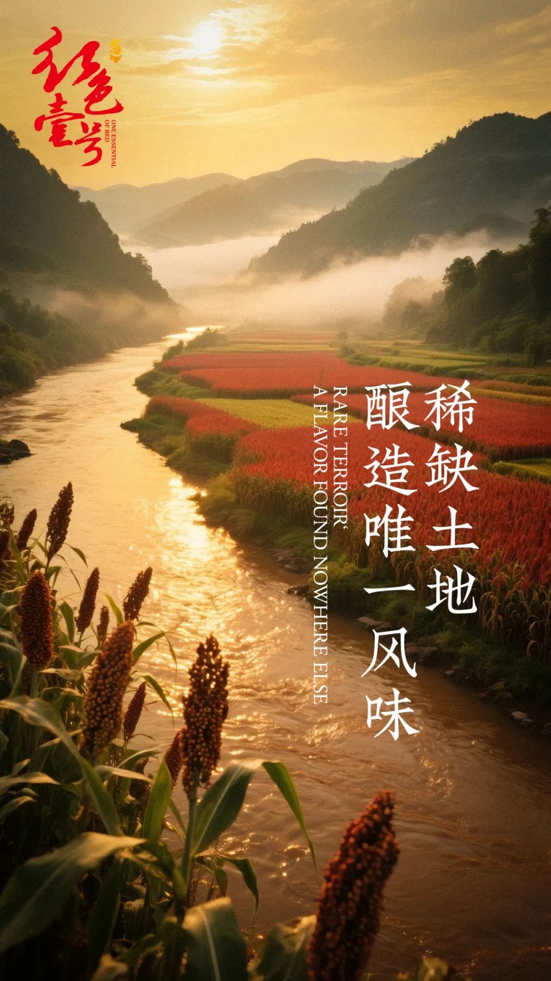 圖片 后消費(fèi)時代硬通貨:醬酒的“時間金庫”屬性(圖1)