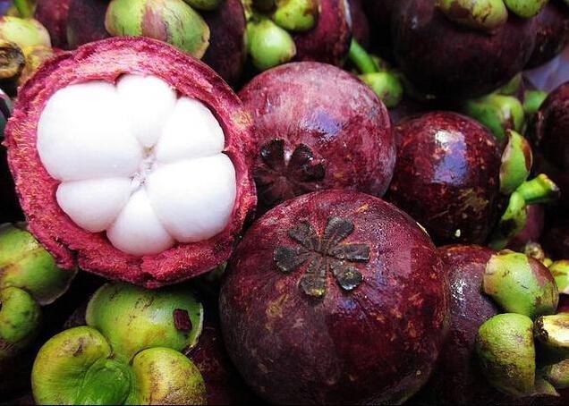 今日大雪，紅色壹號提醒養(yǎng)生注意這四點一起溫暖過冬(圖8)
