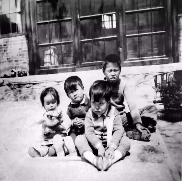 為有犧牲多壯志，敢教日月?lián)Q新天——楊振寧談新中國之行印象(圖3)