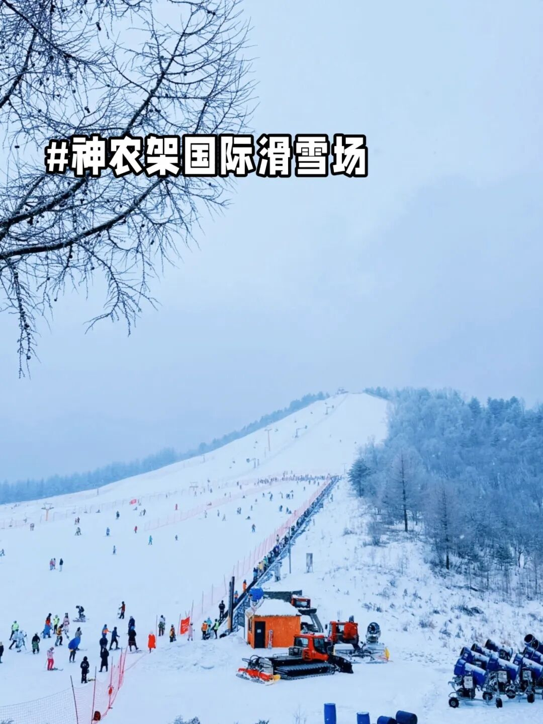 中國一生必去的10個賞雪地??（附12月-2月旅行地圖）(圖8)
