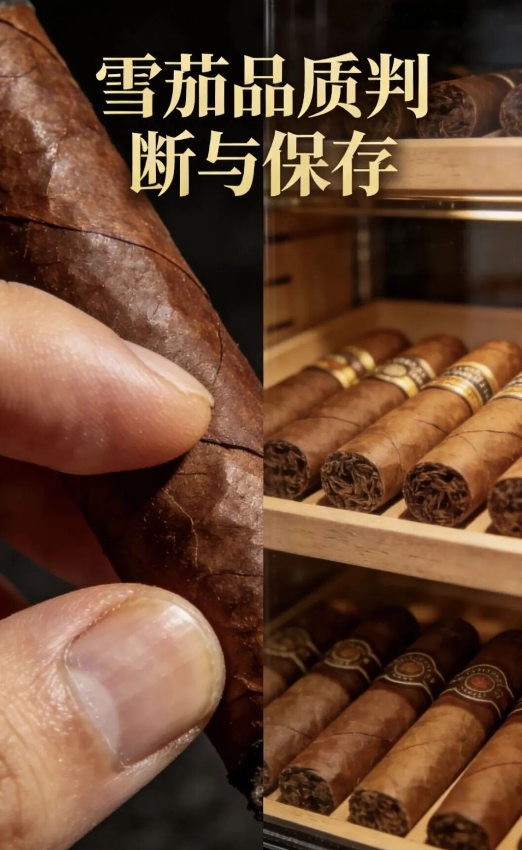 四個(gè)雪茄入門必知的知識(shí)(圖2) 四個(gè)雪茄入門必知的知識(shí)(圖2)