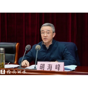 在這個(gè)新年會議上，胡海峰說