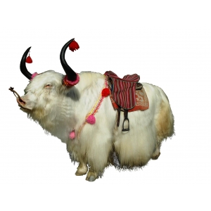我國(guó)牦牛市場(chǎng)與產(chǎn)業(yè)調(diào)查分析報(bào)告