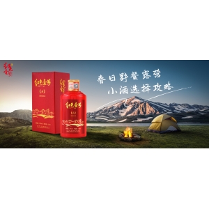 春日野餐露營(yíng)，小酒選擇攻略