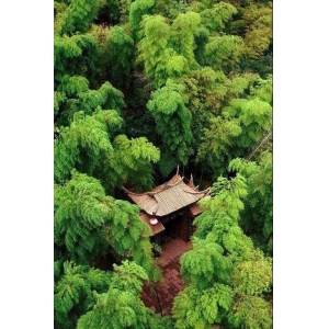 有一種叫云南的生活：勐海茶山游，景美茶更香