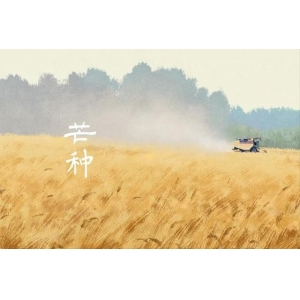 芒種將至，俗語“芒種不補，夏季受苦”，芒種怎么補？吃什么更受