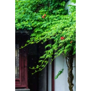 天人共釀、道法自然：紅色壹號醬香酒與二十四節(jié)氣到底有什么聯(lián)系