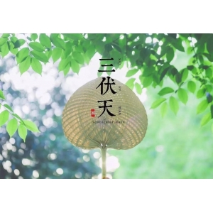 “入伏三不做，一年病不沾”，7月11日入伏，3不做分別指什么